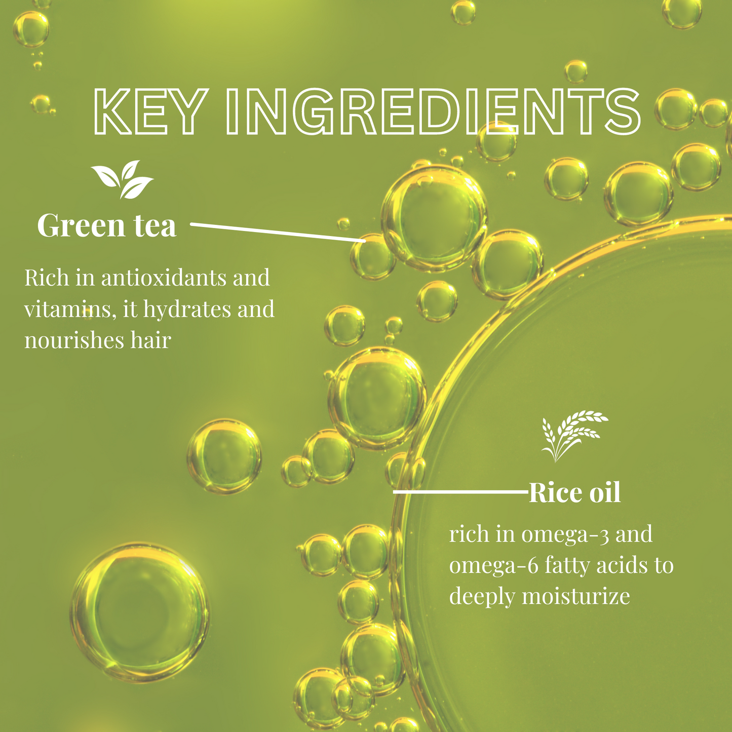 Fermented Green Tea & Rice Infused Hair Oil