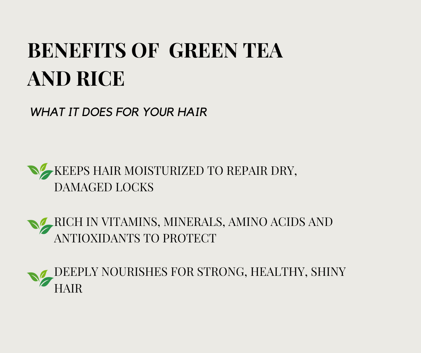 Fermented Green Tea & Rice Infused Hair Oil
